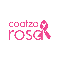 Rosa Octubre Sticker by Pasteleria Cake Town