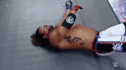 wrestlemania 33 wrestling GIF by WWE