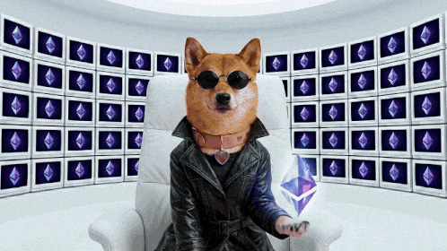 Wake Up GIF by DogeGF