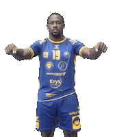 Celebration Proligue Sticker by Pontault-Combault Handball
