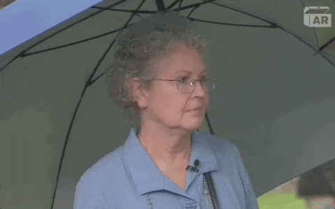 Shock Wow GIF by ANTIQUES ROADSHOW | PBS