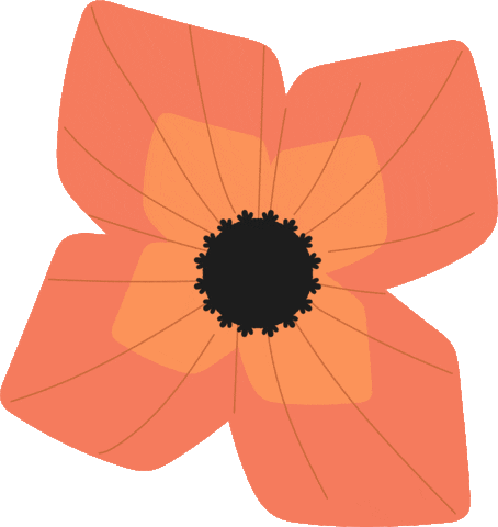 miorcy_anzh giphyupload flowers ordrwams miorcy Sticker