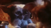 christmas movies gremlins GIF