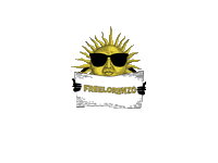 sun sunglasses Sticker by parafinaco