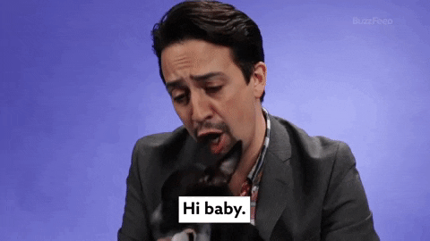 Lin Manuel Miranda Puppies GIF by BuzzFeed