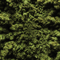 konczakowski trippy weird weed shit GIF