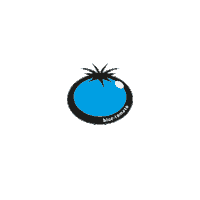 bluetomato snowboard snowboarding blue tomato bluetomato Sticker