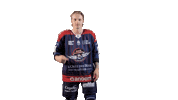 Ducs2026 Sticker by Les Ducs d'Angers