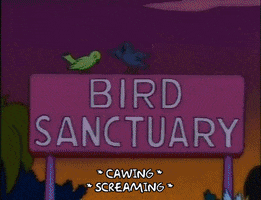 season 6 GIF