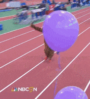 track and field running GIF by RunnerSpace.com