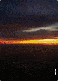 GIF by Trina
