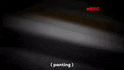 record pant GIF by South Park 