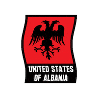 Usa Albania Sticker