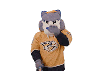 Ice Hockey Sticker by NHL