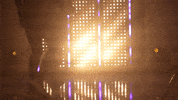 Washington Huskies Softball GIF by NCAA Championships