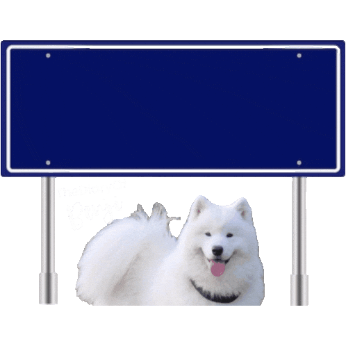 Den Haag Holland Sticker