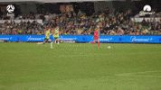 Goalkeeper Save GIF by Football Australia