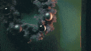 Come Here Christmas Vacation GIF by Norah Jones