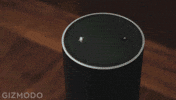 Amazon Review GIF