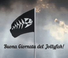 pirate cpi GIF by Chiesa Pastafariana Italiana 