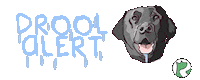 Rdb Drool Alert Sticker by realdogbox