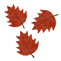 katinkaitsme abstract colorful autumn leafs Sticker