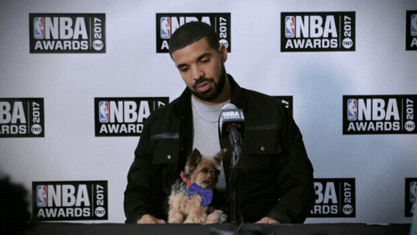 nba awards 2017 puppy GIF by NBA