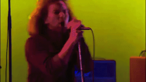 Eddie Vedder GIF by Pearl Jam