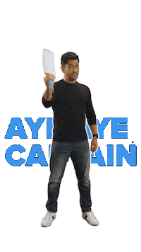 Aye Aye Cricket Sticker by Copter7 Official