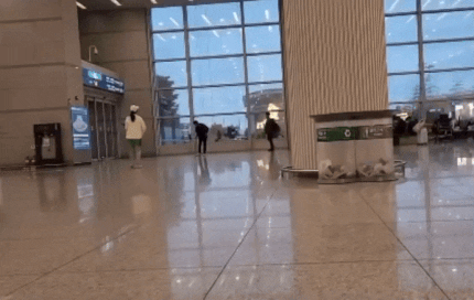 fengfengtang giphyupload GIF