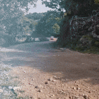 Wrc GIF by FIA World Rally Championship