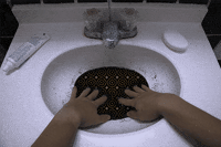 animation art GIF by LOCAL STREAKER