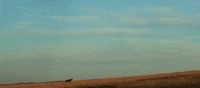 nebraska GIF