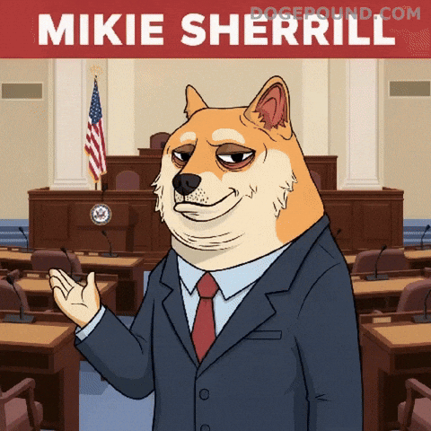 I Told You So Deal With It GIF by Doge Pound