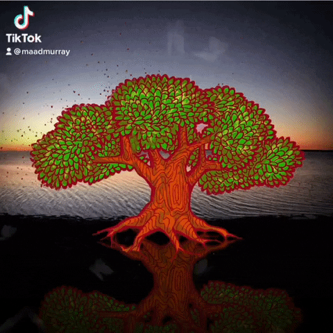 maadmurray tree treeoflife maadmurray motionillustration GIF