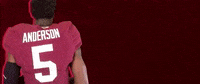 Football Roll Pards GIF by Lafayette Leopards