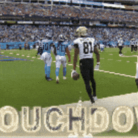 Nfl Touchdown GIF by New Orleans Saints