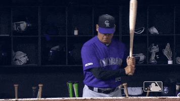 Major League Baseball Sport GIF by MLB