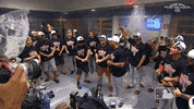 champagne spray GIF by MLB