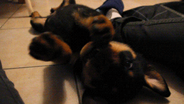 my boy love GIF