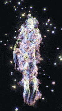 Motion Capture 3D GIF by Well Now WTF?