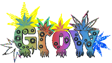Rainbow Grow Sticker by Dinaaaaaah