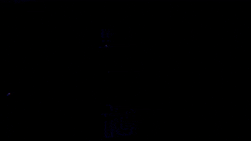 College Football Hype GIF by SMU Football