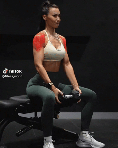 BamBamDoubleBB giphyupload seated dumbbell front raise GIF