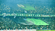 Kocaelispor GIF