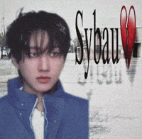 Skz Straykids GIF
