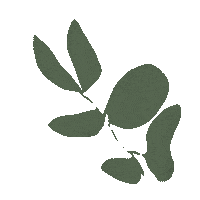 meganstclair_ peace relax plant calm Sticker