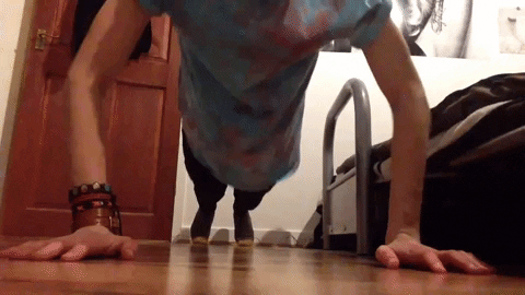 youtube love GIF