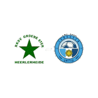 Sport Heerlen Sticker by Groene ster