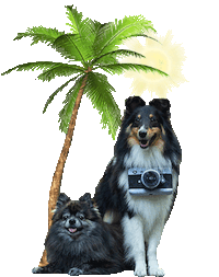 dog pet Sticker by Tales&Tails